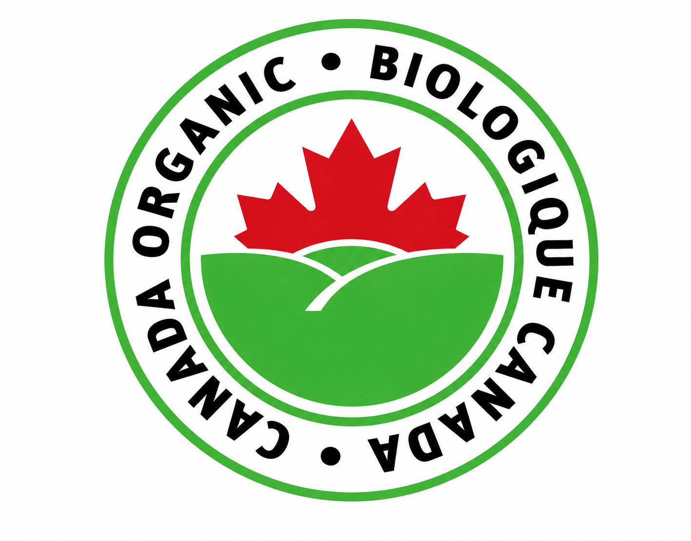 Certificate 3